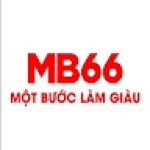 MB66 doctor