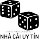 Nhà Cái Uy Tín Các Địa Chỉ Cá Cược