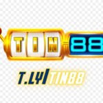 Tin88 Bet Cá