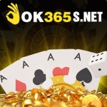 Ok365s Net