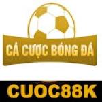 info cacuocbongda