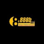 888b vn4