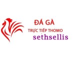 Da Ga Truc Tiep Thom Hom Nay