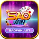 SAOWIN 1