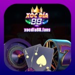 xocdia88 fans