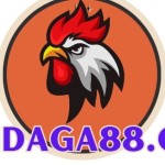Daga tructiep