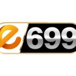 e699