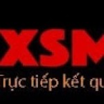 KQ XSMB MIỀN BẮC