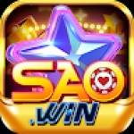 SAOWIN saowin