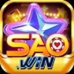 SAOWIN saowin