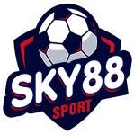 Sky88 Đồng Hành Chơi Game