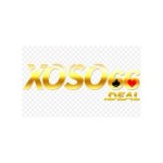 Xoso66 Nhà Cái