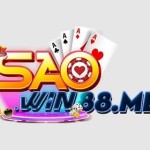 Nhà Cái SAOWIN