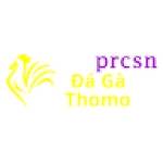 Đá Gà Trực Tiếp Thomo