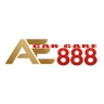AE888 carcare
