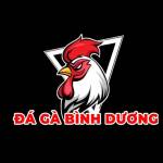 Đá Gà Bình Dương đá gà Online