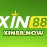 XIN88