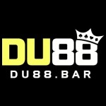 Du88 Bar