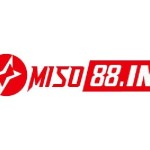 Miso88 in