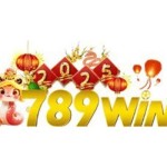 789winvt net