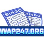 Wap247 org