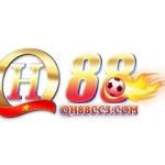 QH88 nha cai