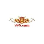 v88cam v88cam