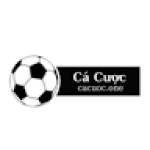 Cacuoc One