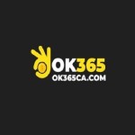 OK3 65