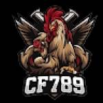 CF789 art