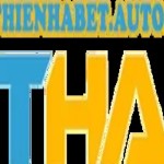 thienhabet autos