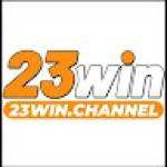 23WIN