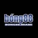 Bong88 Miami