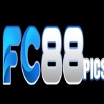 FC88 skin