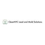 CleanNYC Lead