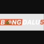 Bong Da Lu55