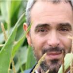 David Saroni