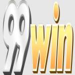 99WIN vu