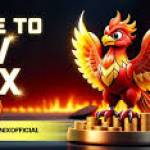 NEWFENIX NEWFENIX