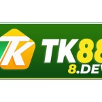 Nhà cái TK88