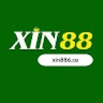 xin88 co