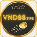 vnd 88tips
