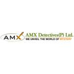 AMX Detectives