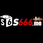 s666vn host