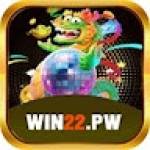 WIN22 pw