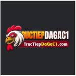 Trực tiếp đá gà C1 hôm nay