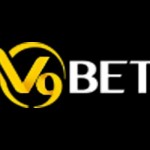V9Bet rentals