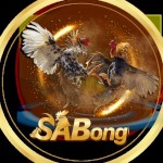 sabong old