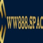 WW888