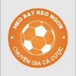 Mẹo Bắt Kèo Ngon Evans